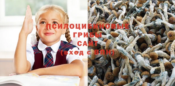 а пвп мука Осинники