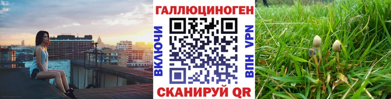 Галлюциногенные грибы GOLDEN TEACHER  где можно купить   darknet телеграм  Елизово 